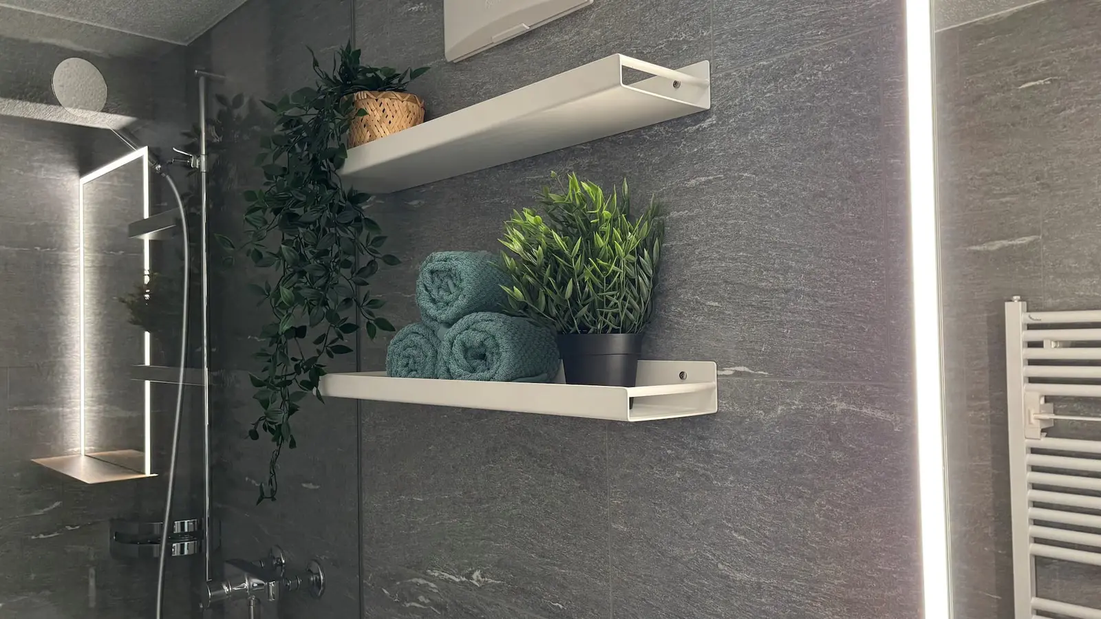 Modern bathroom with rain shower