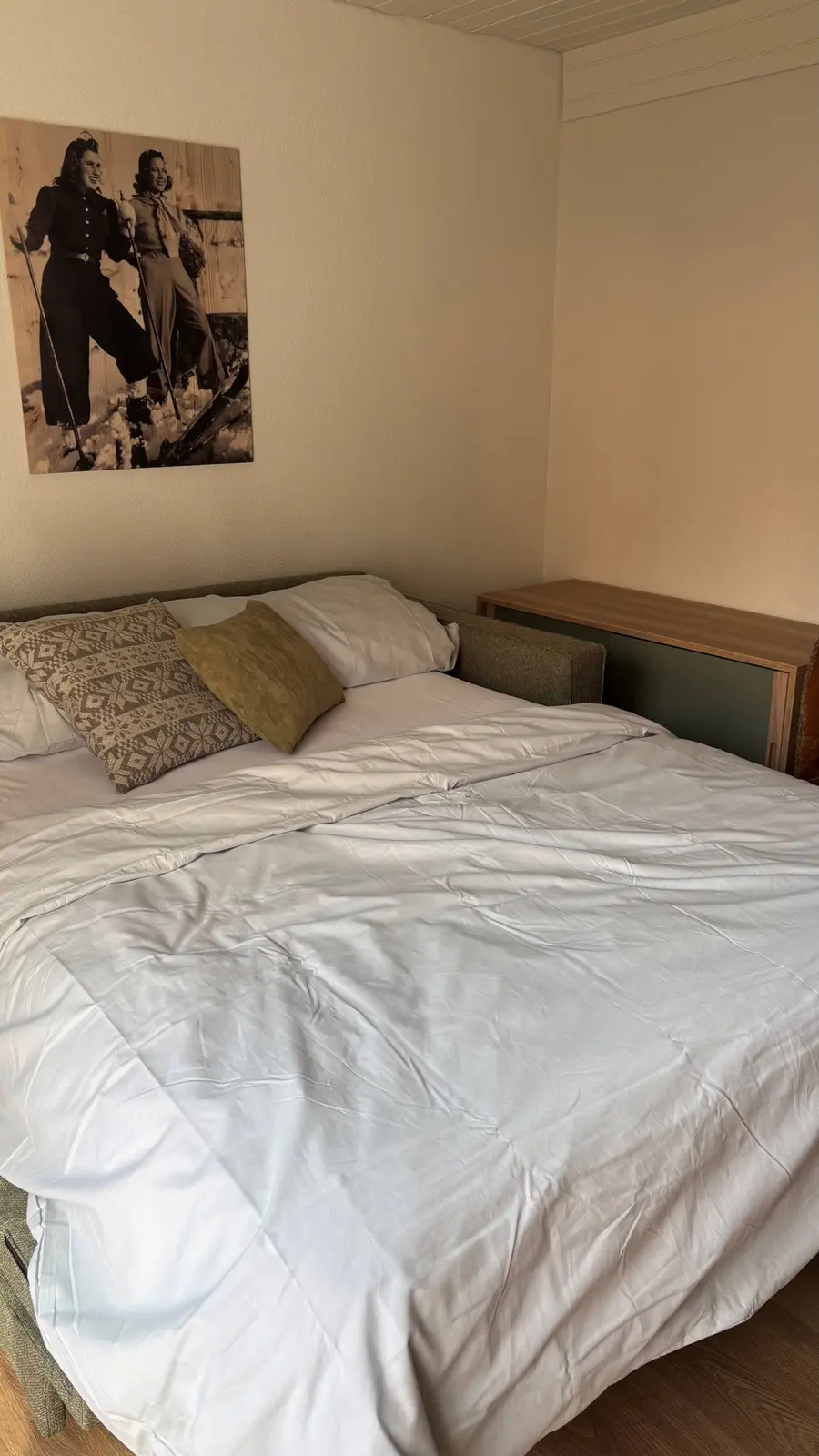Double sofa bed in the living area