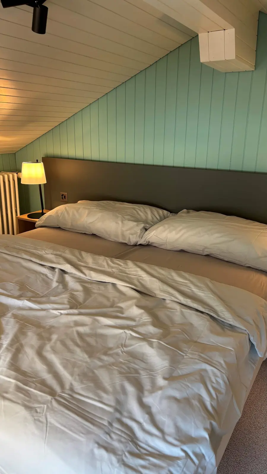 Attic bedroom under the roof