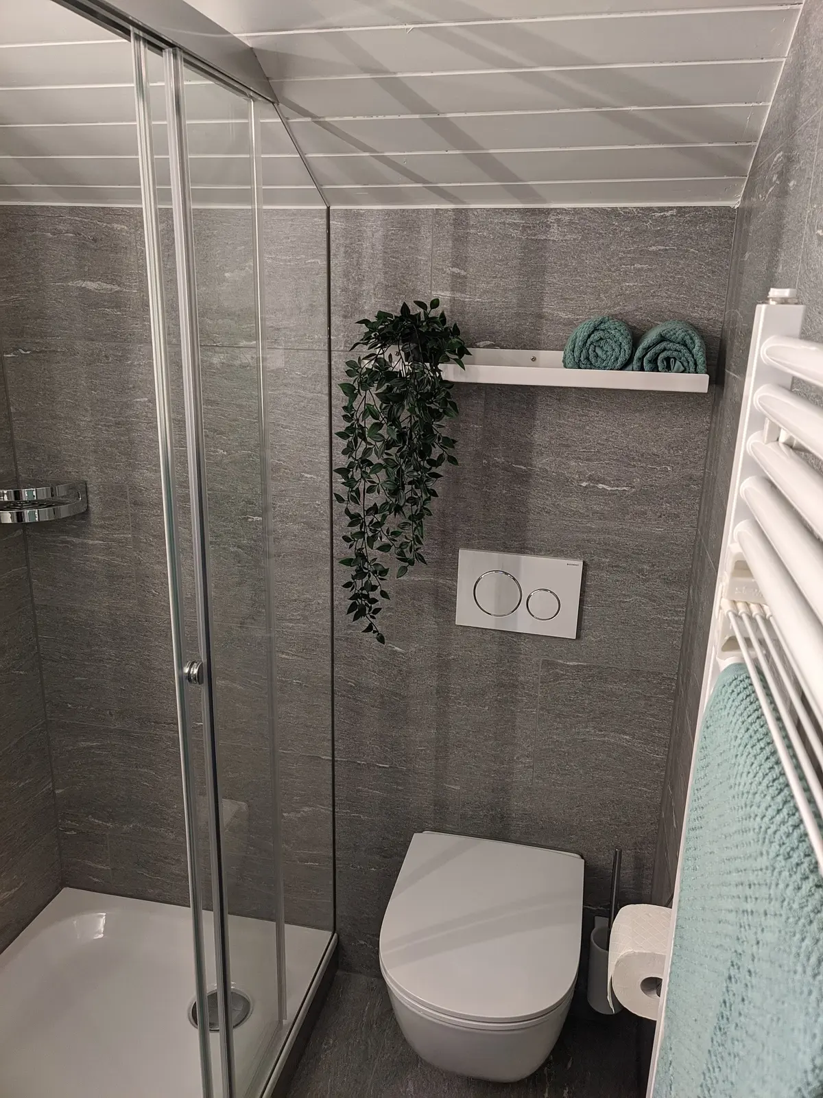 Bathroom with shower and toilet